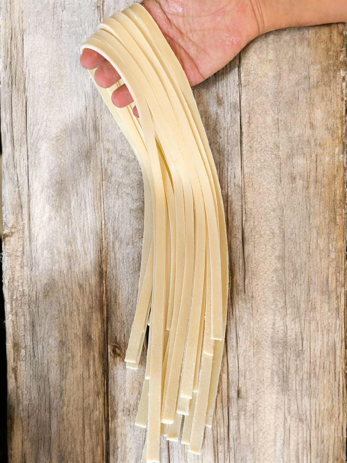 Fake Fettuccine Pasta: Realistic Italian Food Prop, Restaurant Display