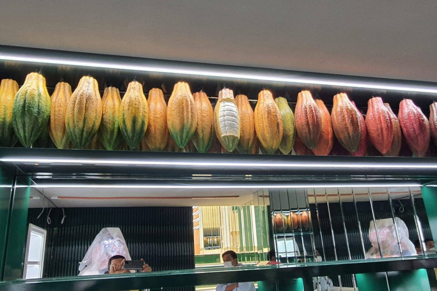 Realistic Fake Cocoa Pod: Tropical Decor, Chocolate Prop
