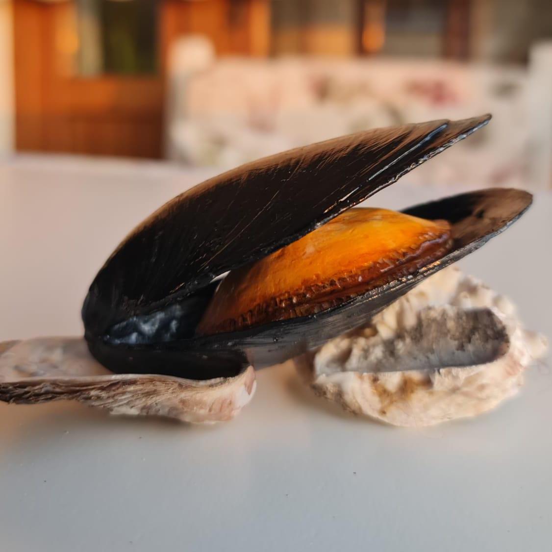 Realistic Fake Black Mussels: Seafood Display Prop - Set of 5