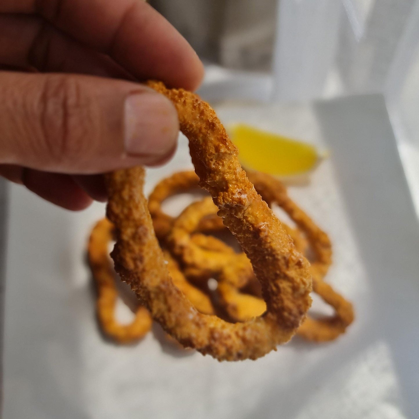 Realistic Fried Calamari Set: Faux Seafood Display with Lemon