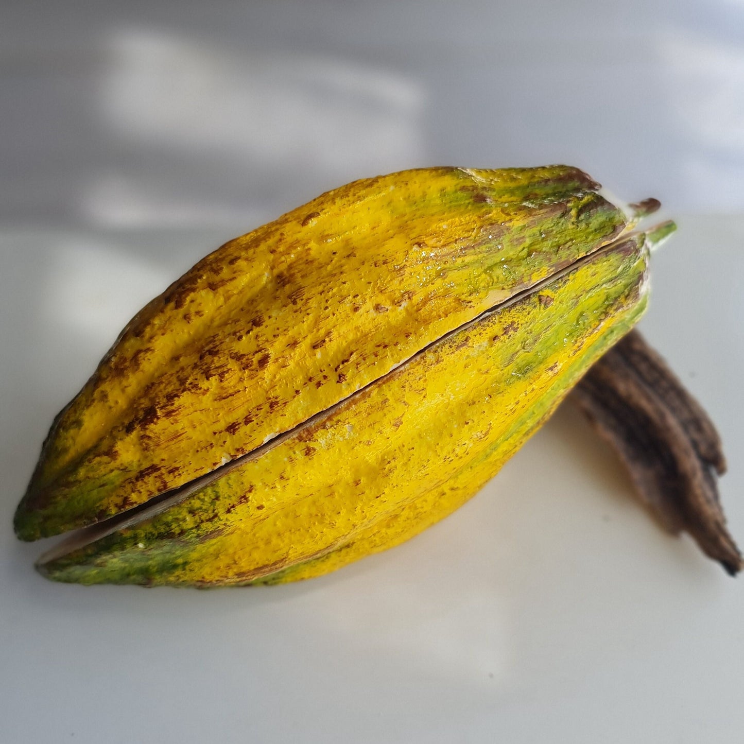 Realistic Fake Cocoa Pod Set: Faux Chocolate Display, Food Photography Prop