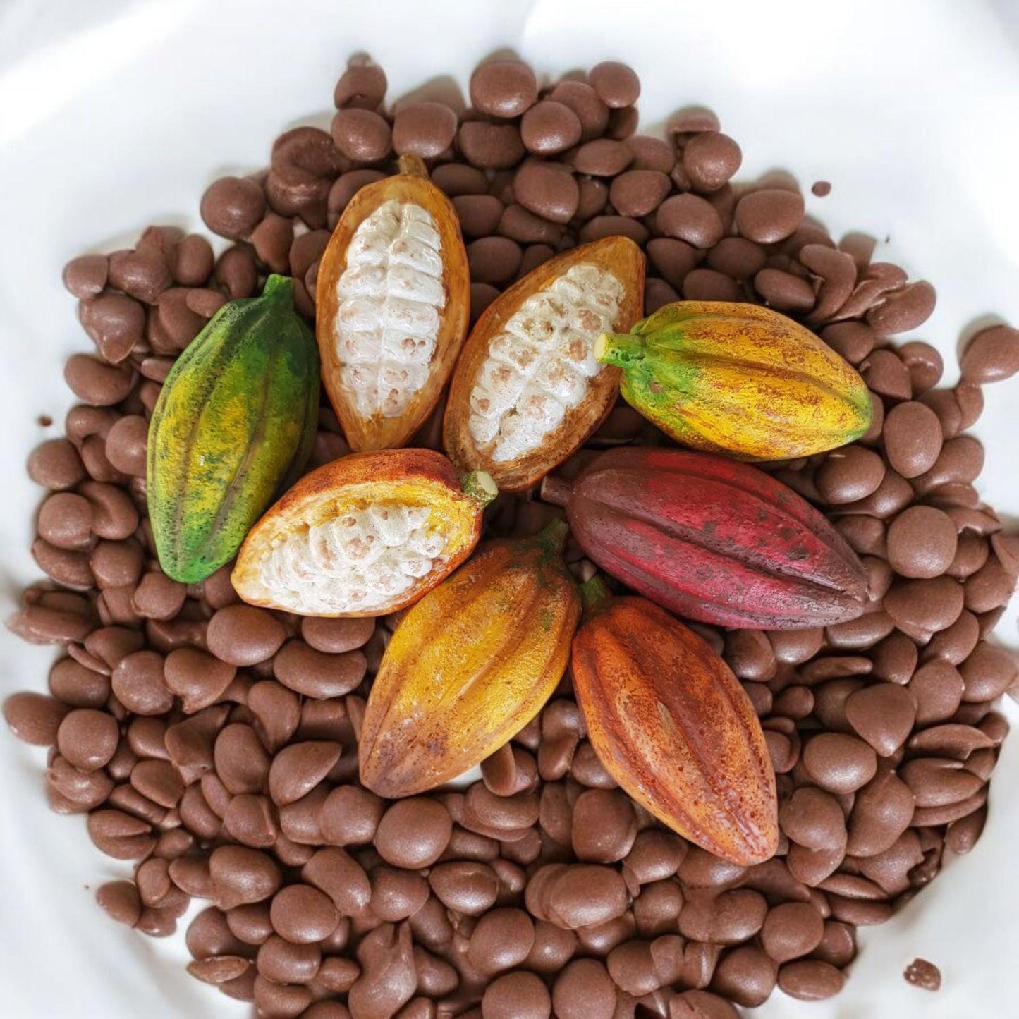 Mini Cocoa Fruit Replica Set: Chocolate Shop Display, Tropical Decor
