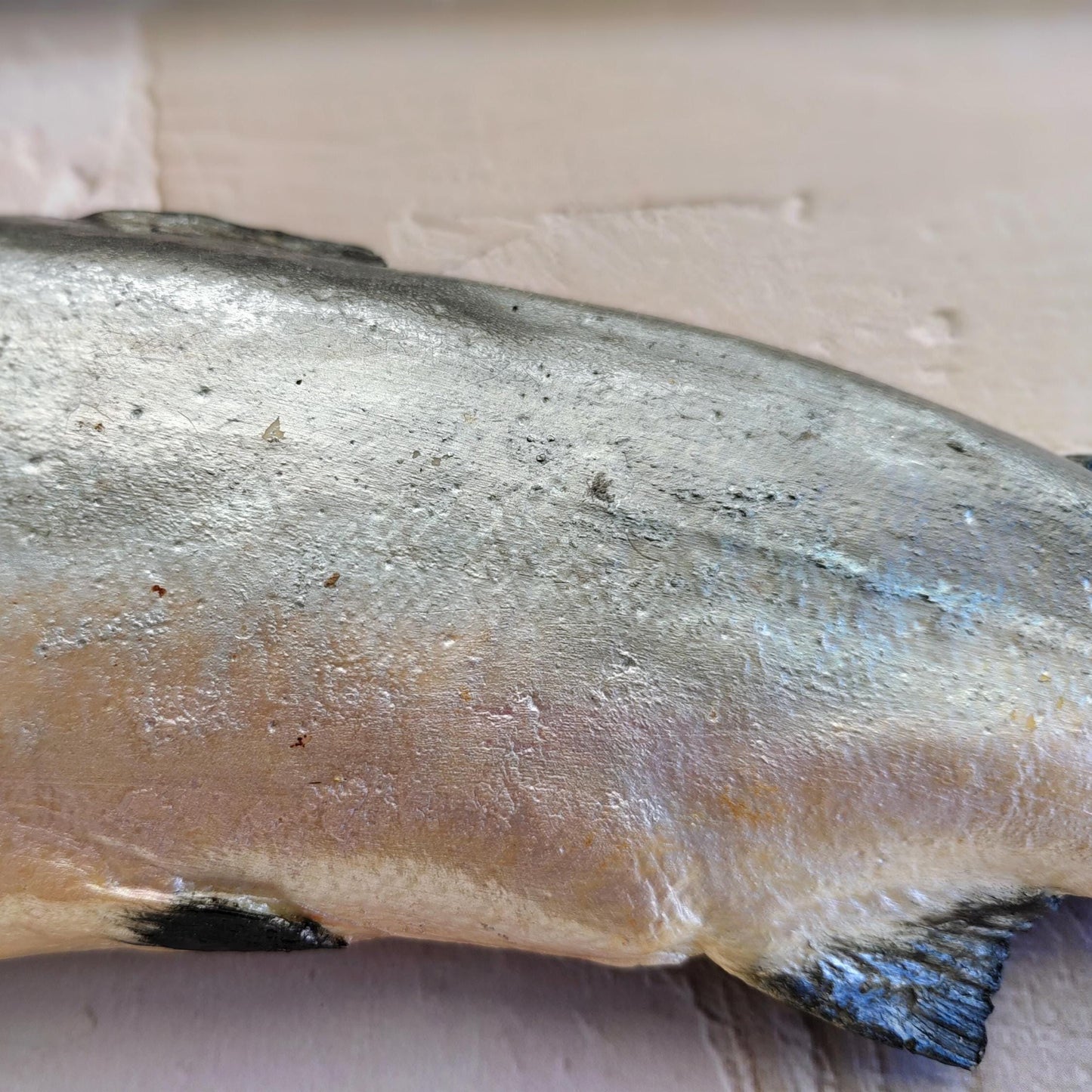 3D Fake Fish Wall Sculpture - Life Size Atlantic Salmon Wall Art