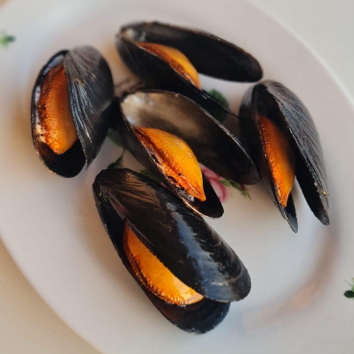 Realistic Fake Black Mussels: Seafood Display Prop - Set of 5