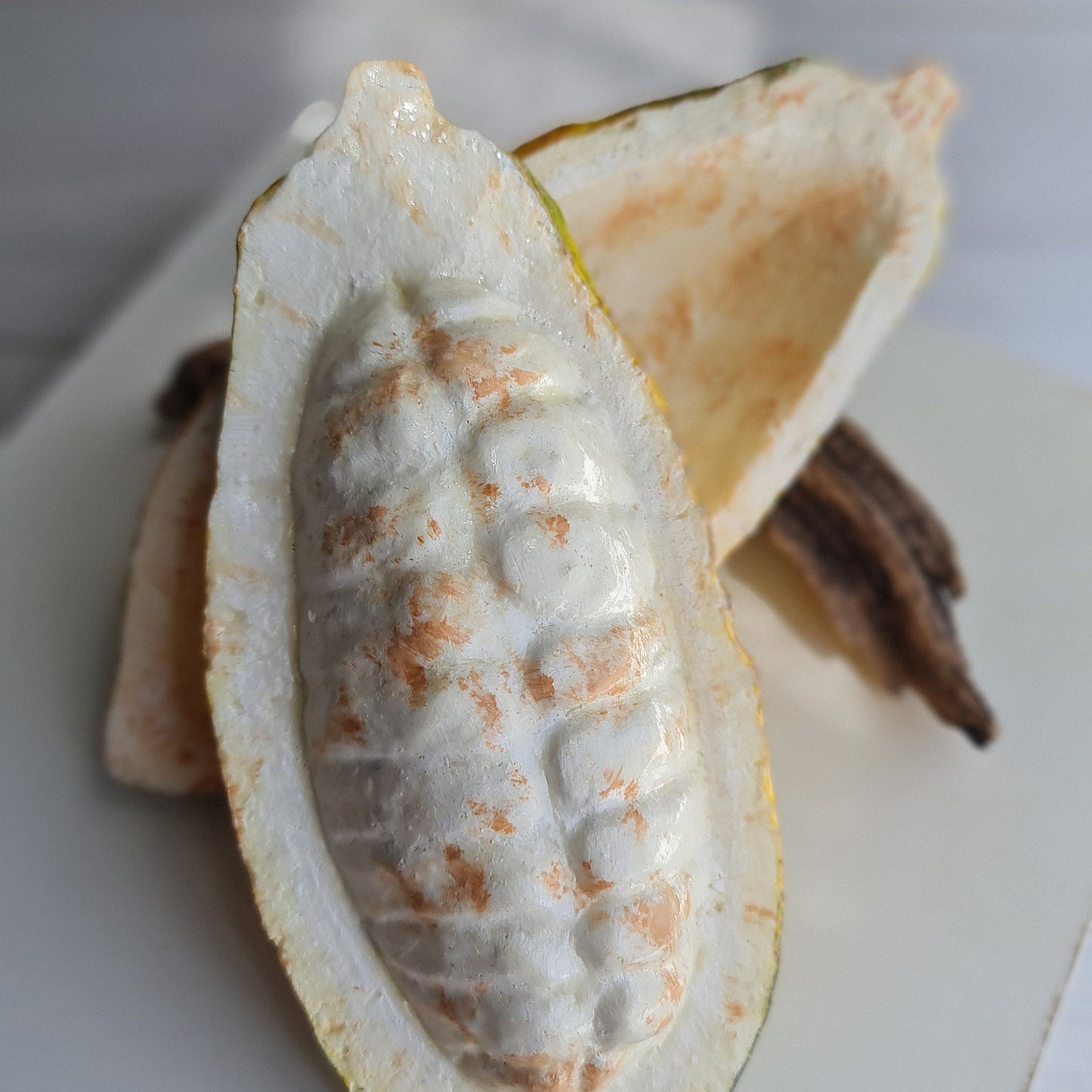 Realistic Fake Cocoa Pod Set: Faux Chocolate Display, Food Photography Prop