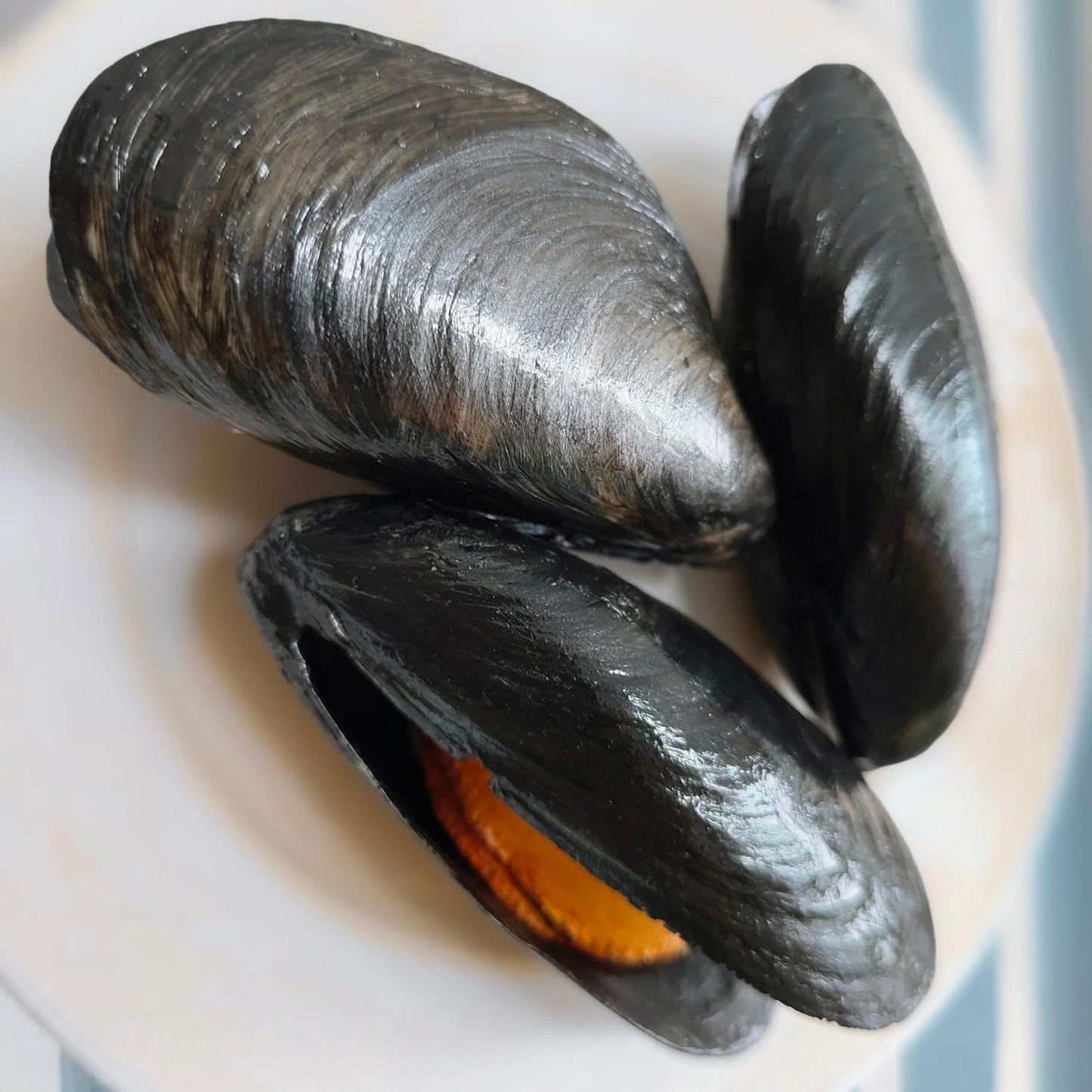 Handmade 3D Mussels Wall Art, Framed Seafood Sculpture