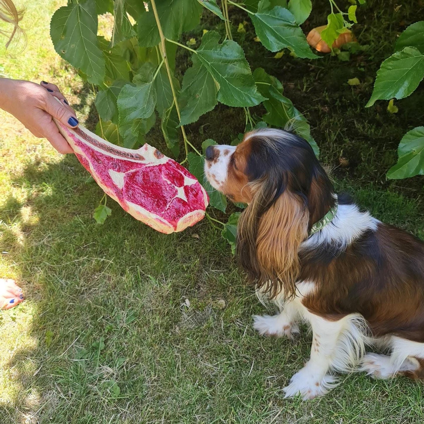Fake Tomahawk Steak: Realistic Restaurant Display Prop