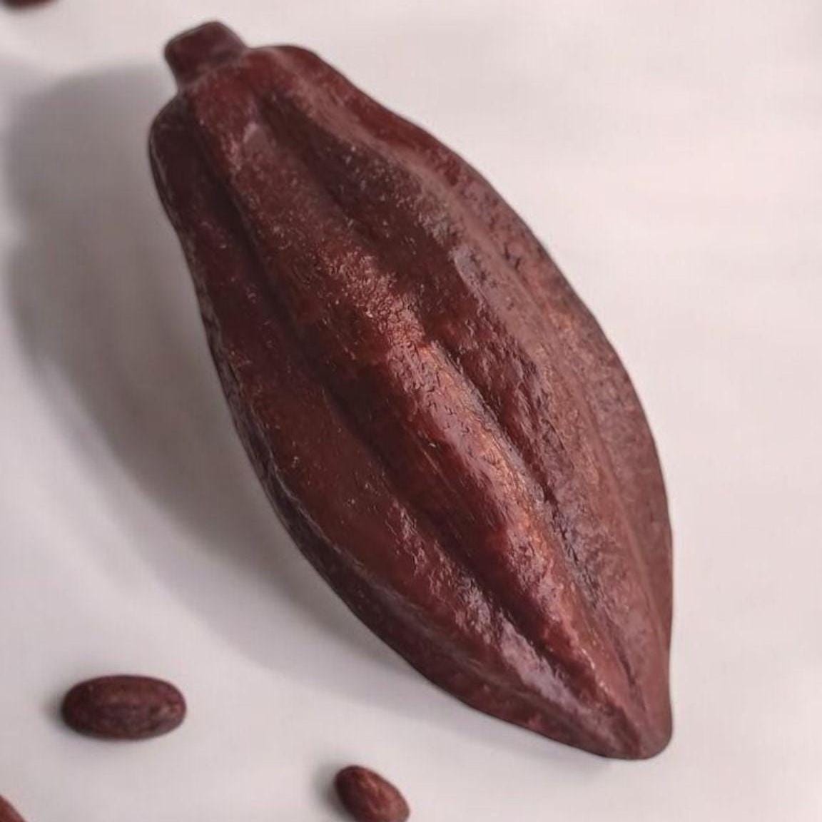 Realistic Fake Cocoa Pod: Tropical Decor, Chocolate Prop