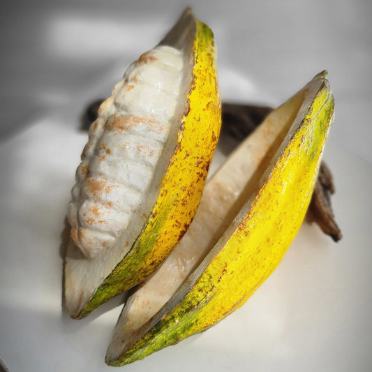 Realistic Fake Cocoa Pod Set: Faux Chocolate Display, Food Photography Prop