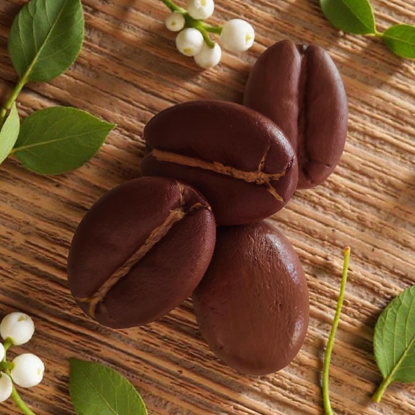 Mini Coffee Bean Replica: Set of 5 Coffee Shop Display