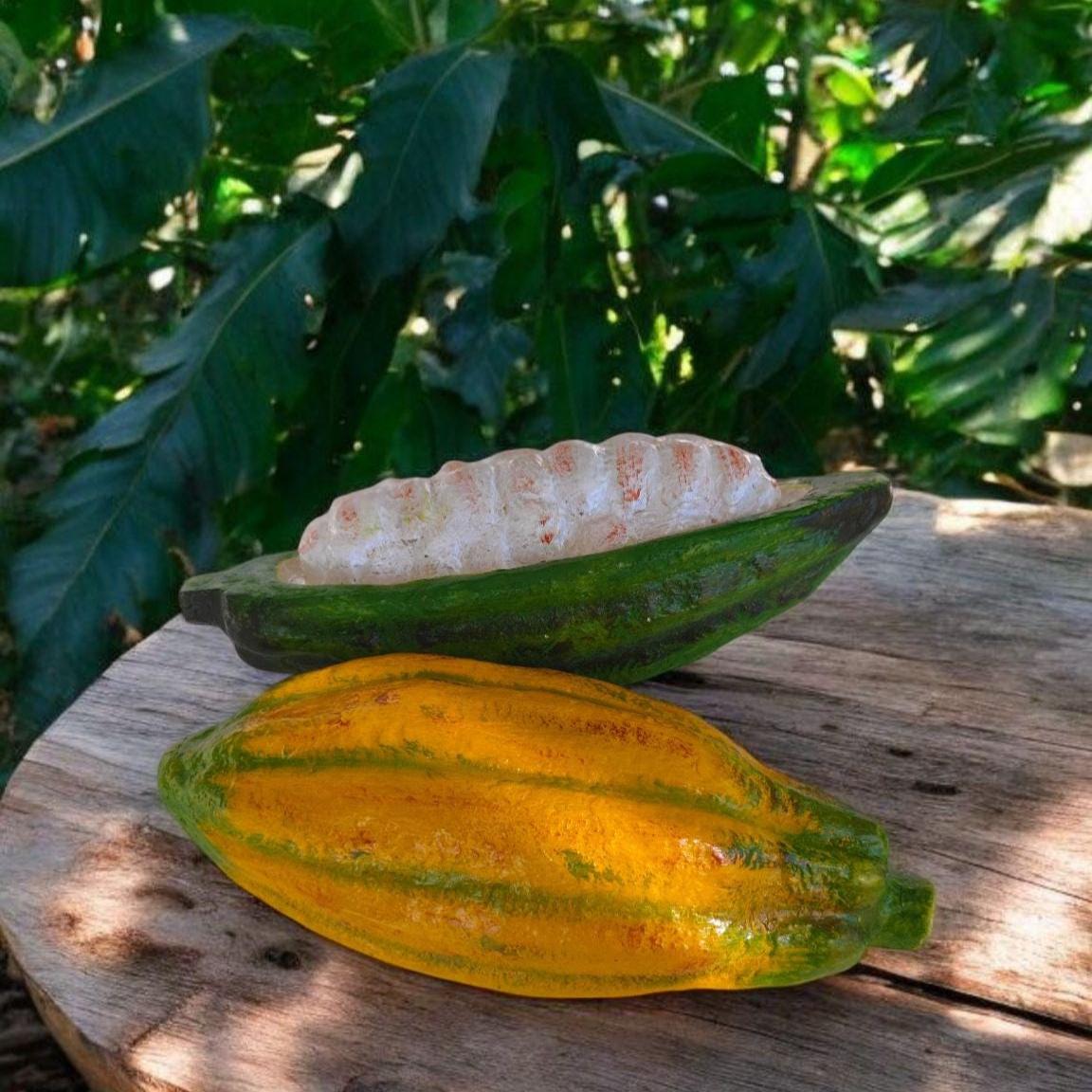 Realistic Fake Cocoa Fruit Replica, Half with Cocoa Beans: Tropical Display Prop