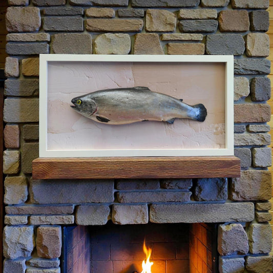 3D Fake Fish Wall Sculpture - Life Size Atlantic Salmon Wall Art