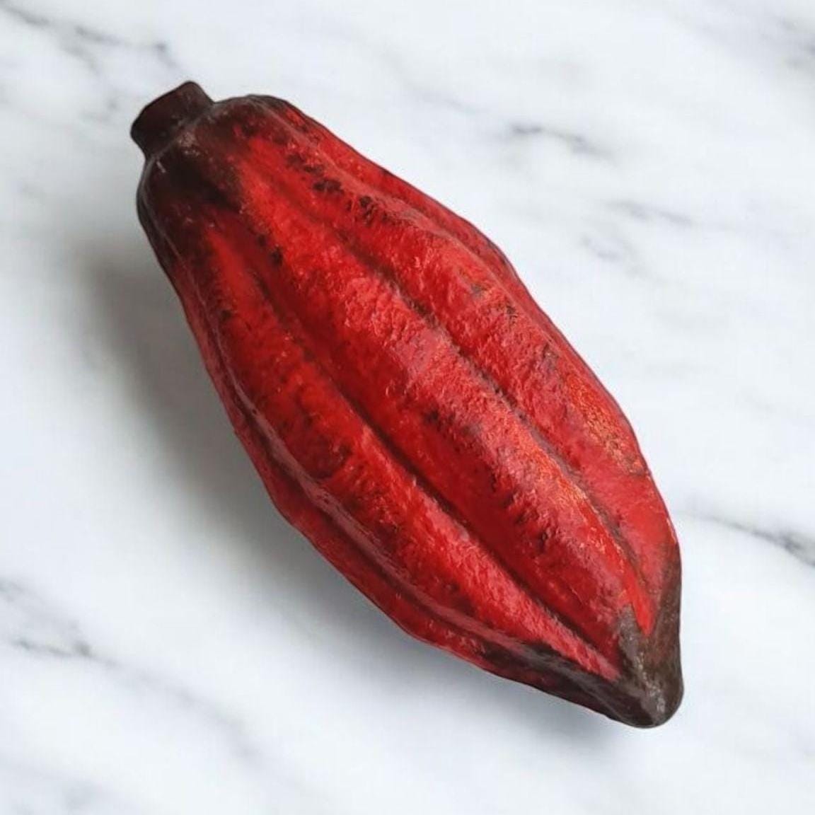 Realistic Fake Cocoa Pod: Tropical Decor, Chocolate Prop