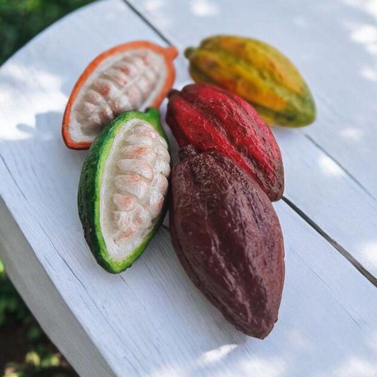 Mini Cocoa Fruit Replica Set: Chocolate Shop Display, Tropical Decor
