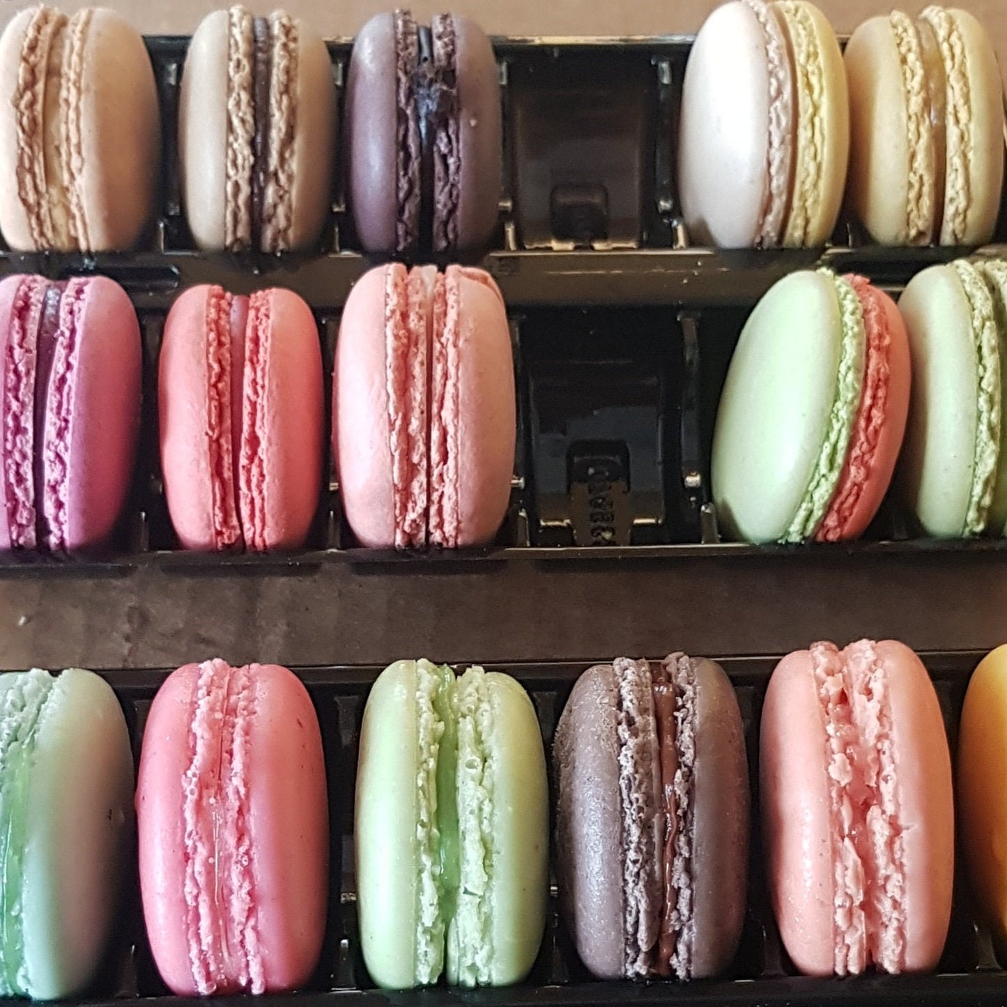 Replica macaron for bakery and pastry shop displays, Set of 6
