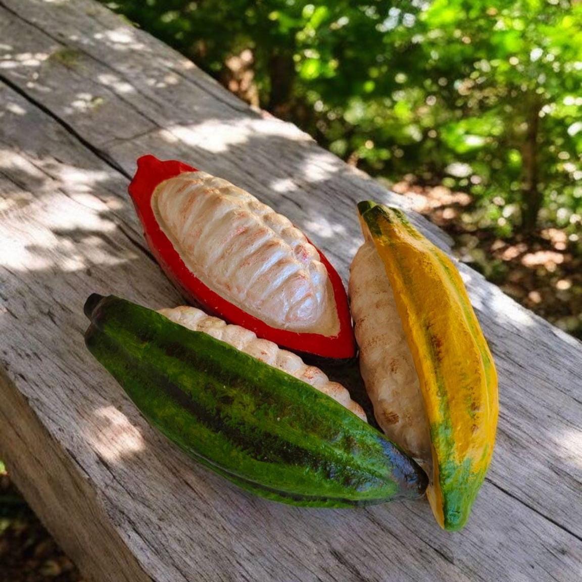 Realistic Fake Cocoa Fruit Replica, Half with Cocoa Beans: Tropical Display Prop