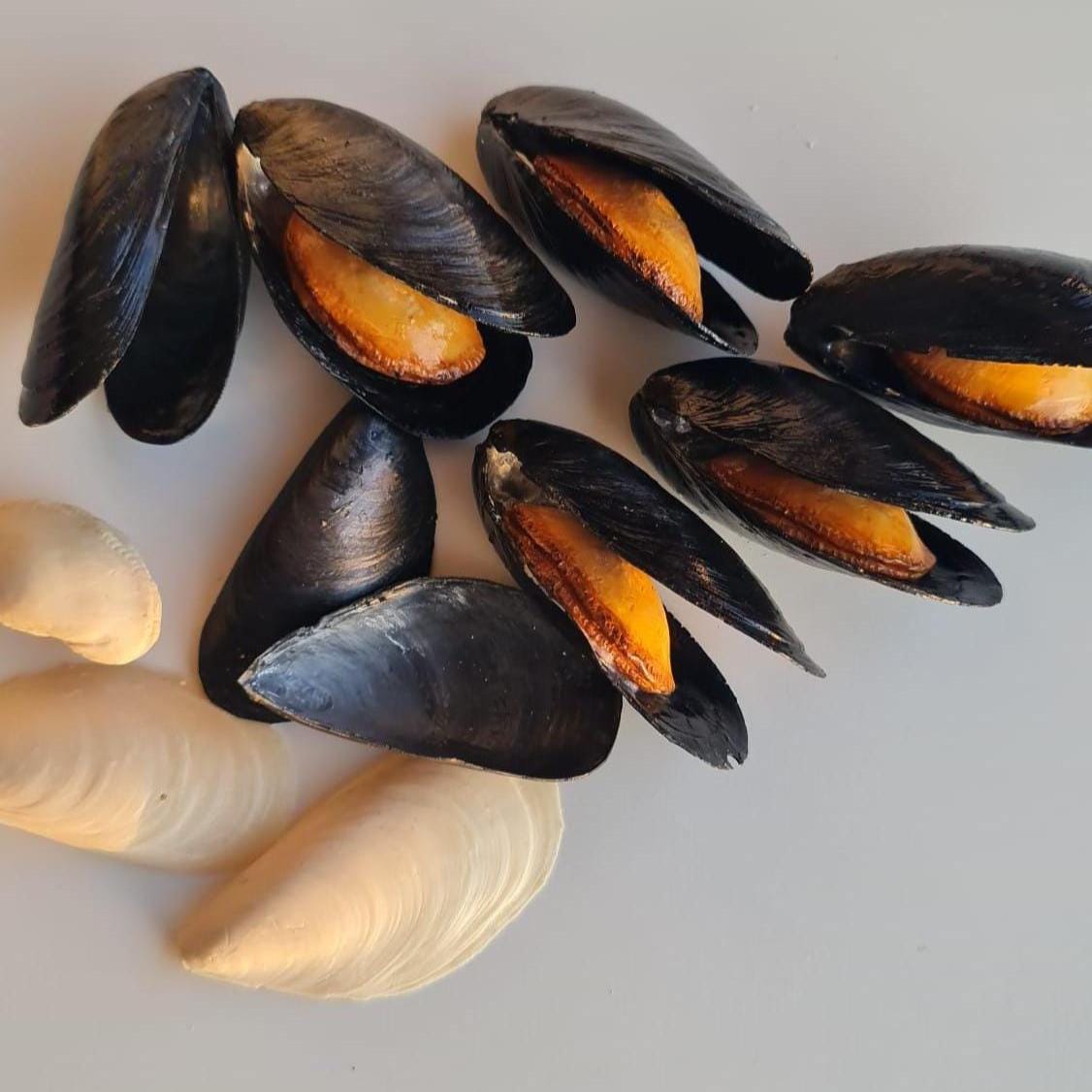 Realistic Fake Black Mussels: Seafood Display Prop - Set of 5