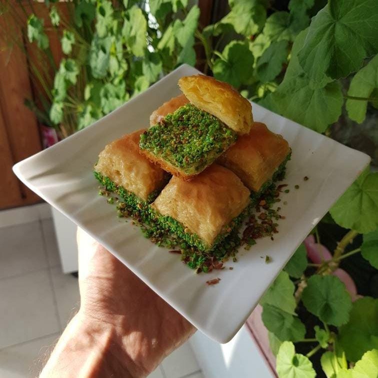 Fake faux Turkish Baklava 5 pcs for Pastry Shop Display