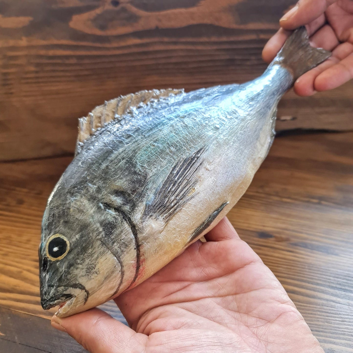 Realistic Faux Gilthead Bream Fish: Restaurant Display, Fisherman Gift