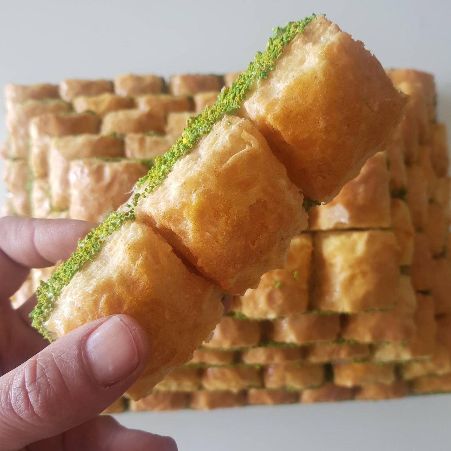 Fake faux Turkish Baklava 5 pcs for Pastry Shop Display