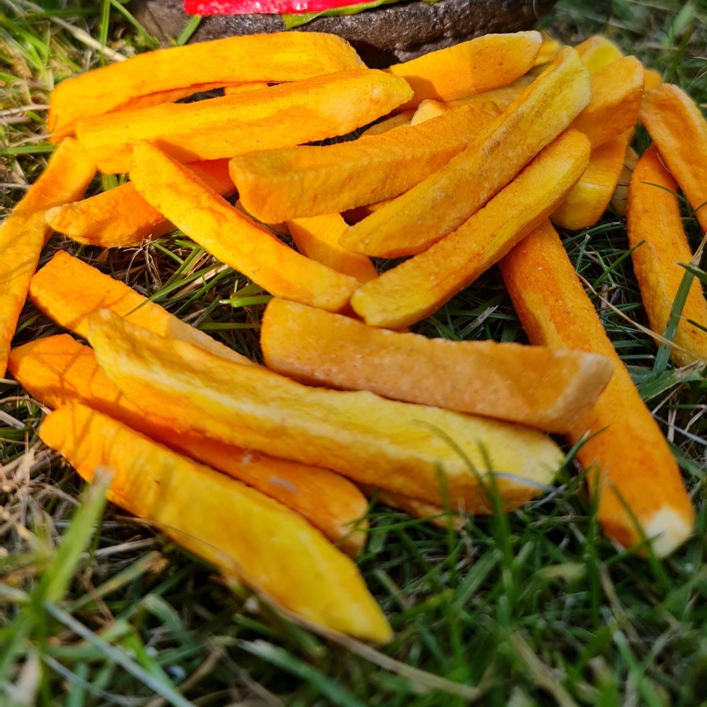 Replica French Fries 40pcs : Restaurant Decor