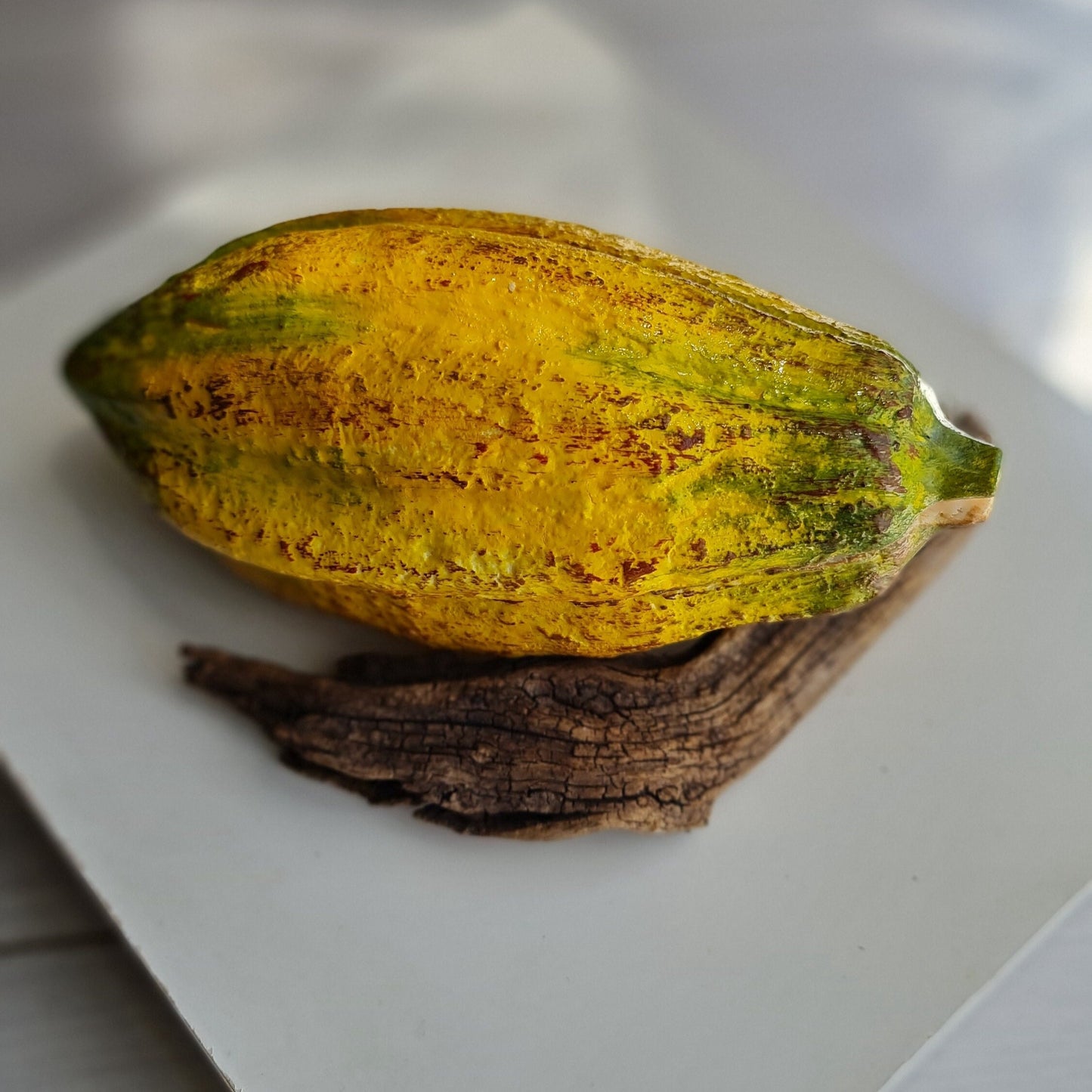 Realistic Fake Cocoa Pod Set: Faux Chocolate Display, Food Photography Prop