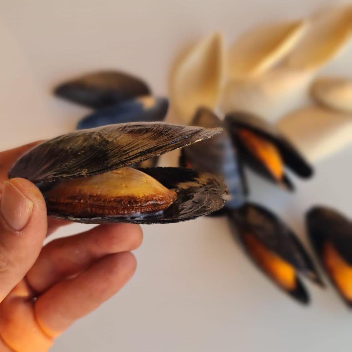 Realistic Fake Black Mussels: Seafood Display Prop - Set of 5