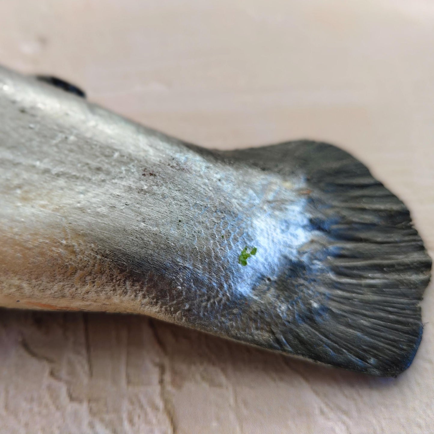 3D Fake Fish Wall Sculpture - Life Size Atlantic Salmon Wall Art