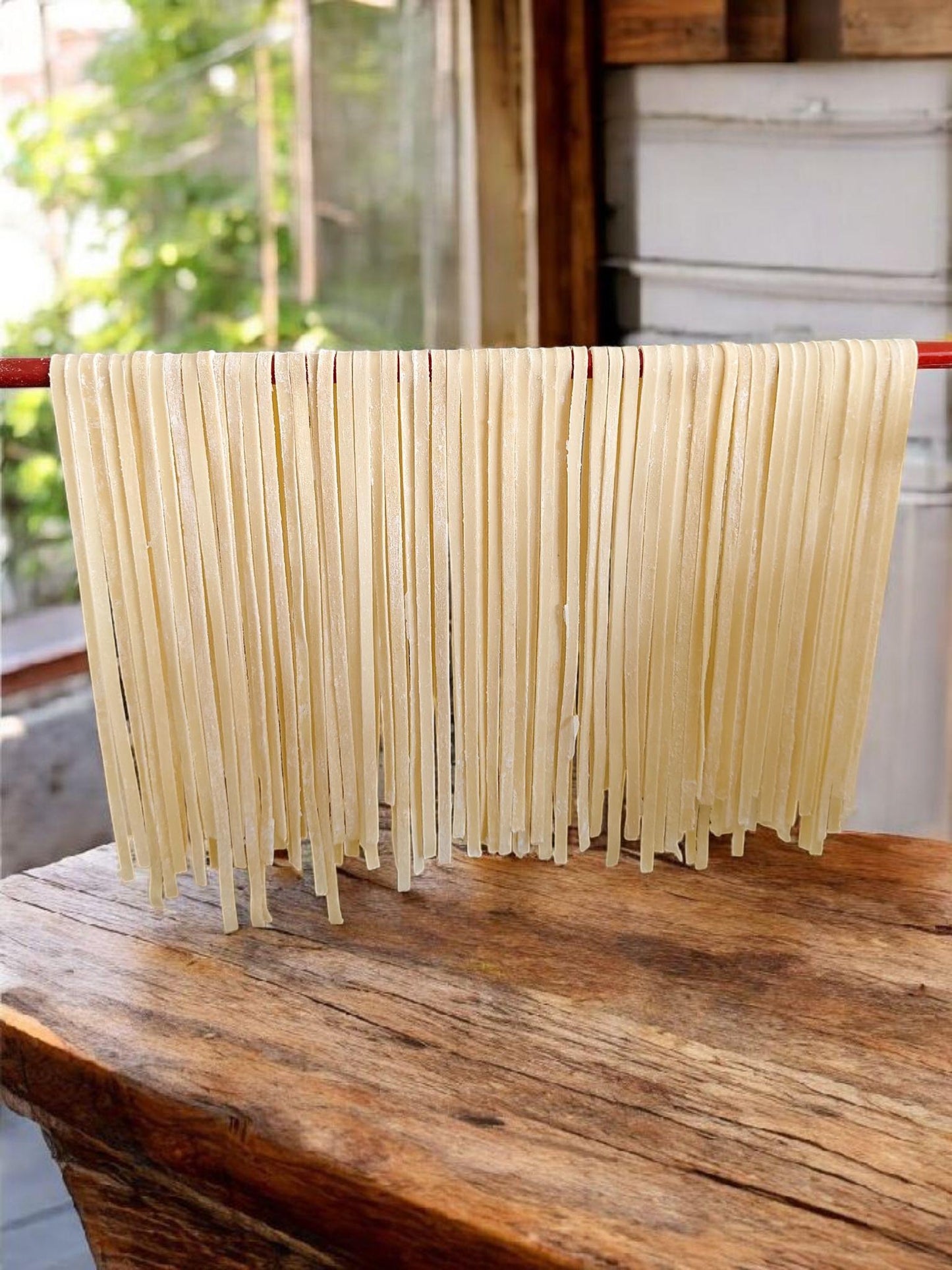 Fake Fettuccine Pasta: Realistic Italian Food Prop, Restaurant Display