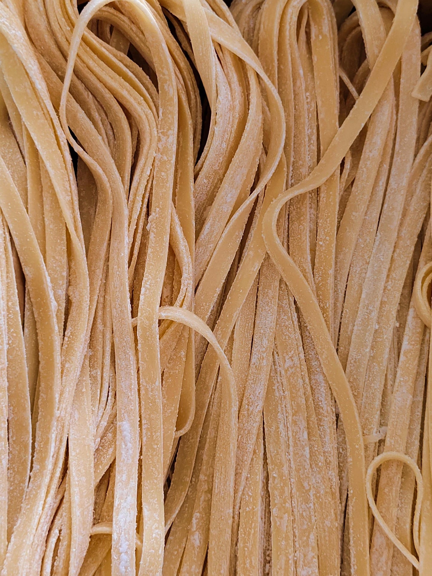 Fake Fettuccine Pasta: Realistic Italian Food Prop, Restaurant Display