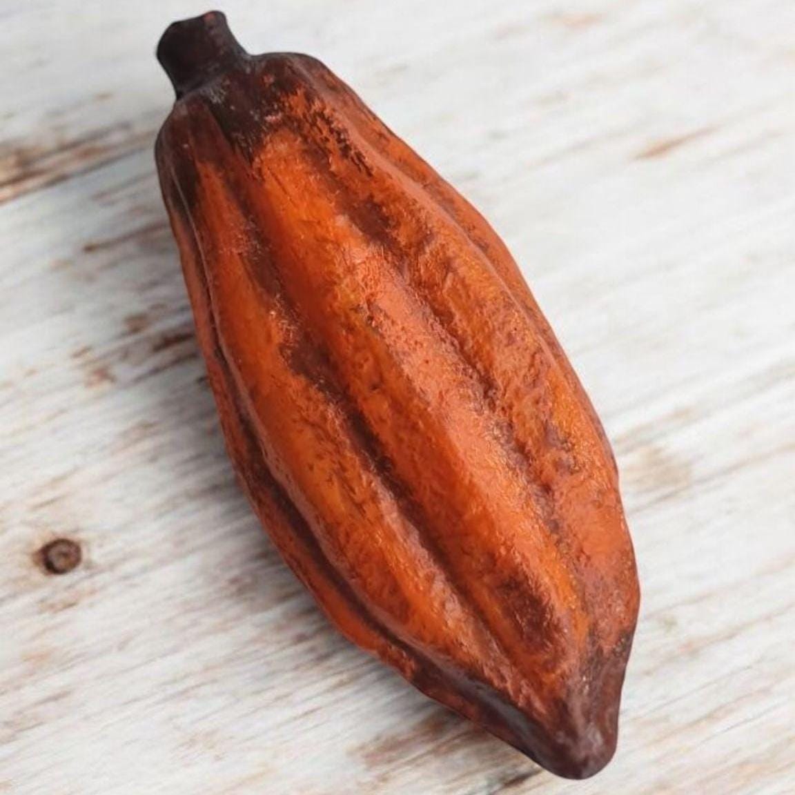 Realistic Fake Cocoa Pod: Tropical Decor, Chocolate Prop