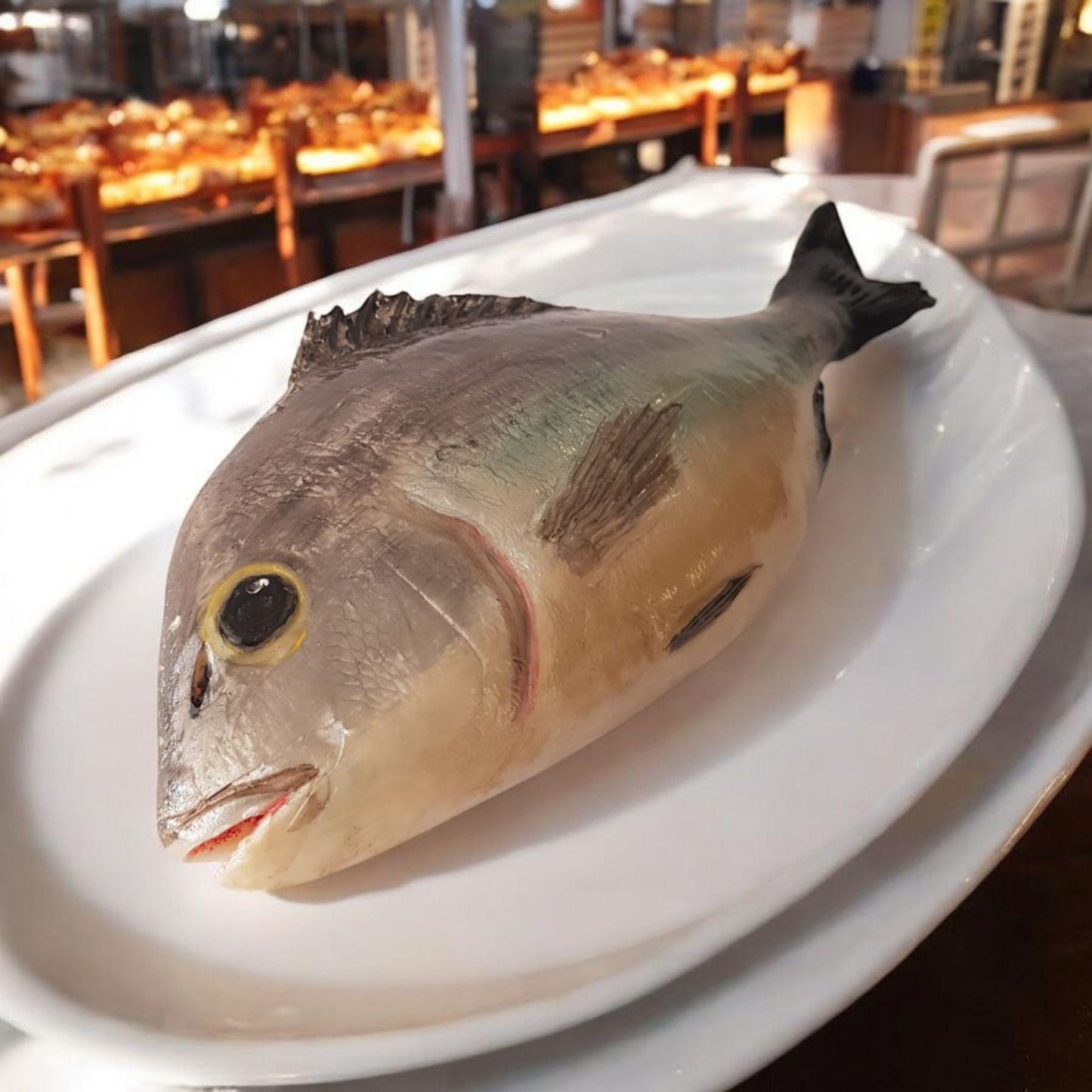 Realistic Faux Gilthead Bream Fish: Restaurant Display, Fisherman Gift