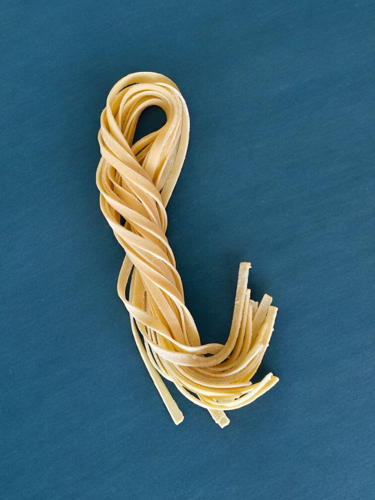 Fake Fettuccine Pasta: Realistic Italian Food Prop, Restaurant Display
