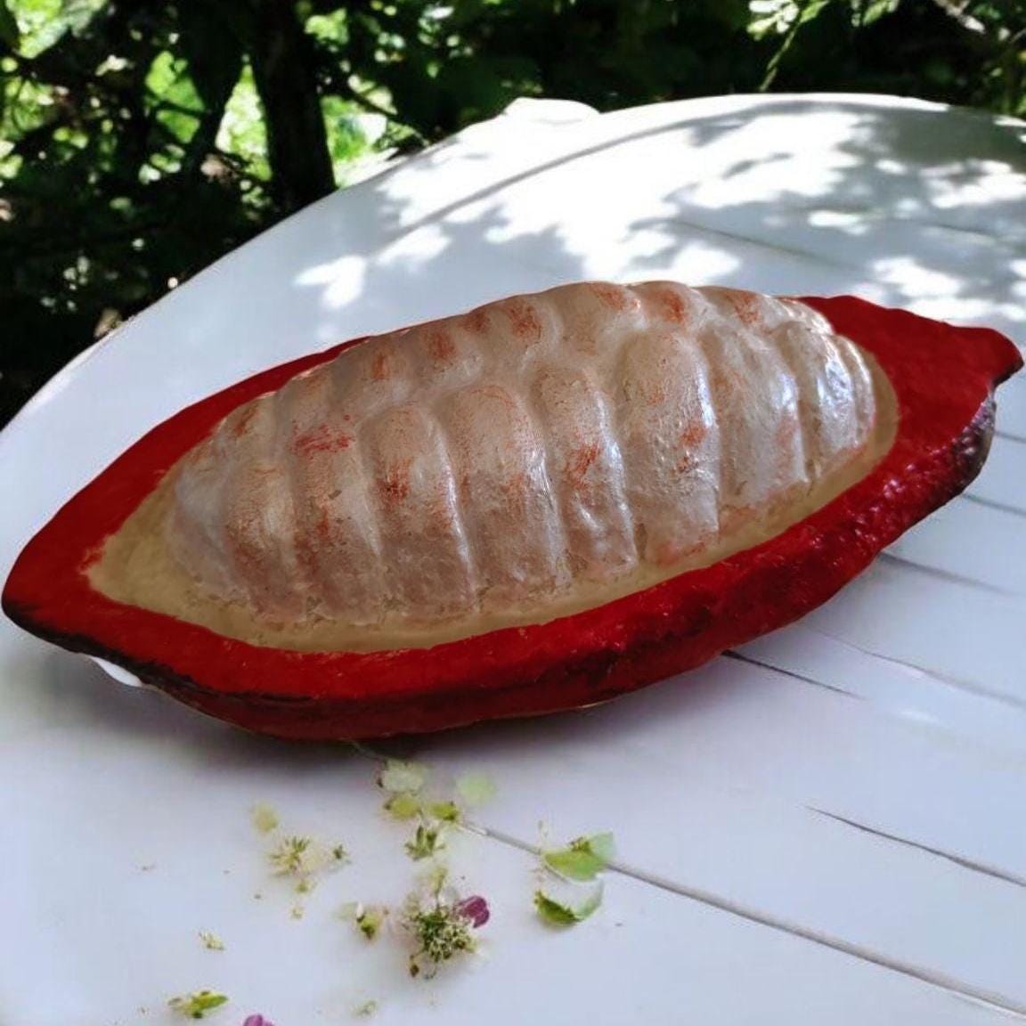 Realistic Fake Cocoa Fruit Replica, Half with Cocoa Beans: Tropical Display Prop