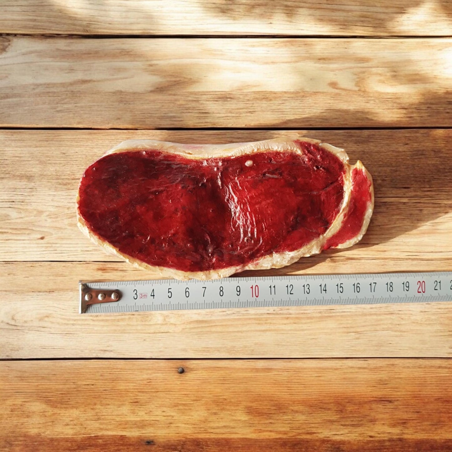 Replica Steak for Restaurant Display